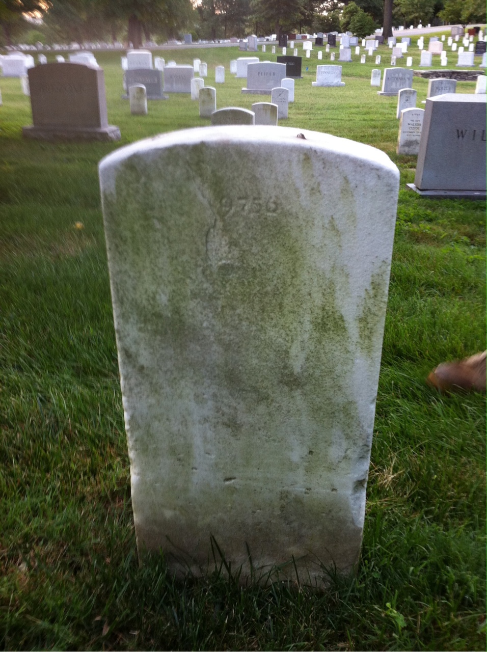 Back of headstone — Clive Alexander