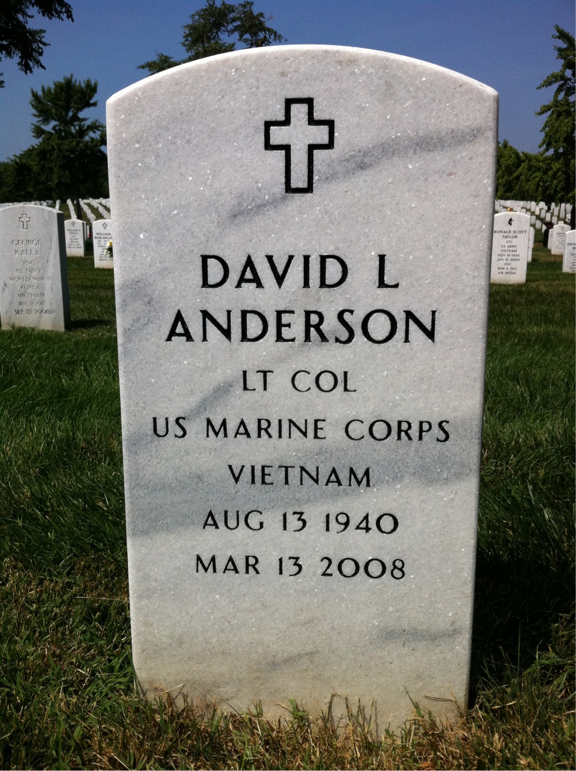 David Anderson
