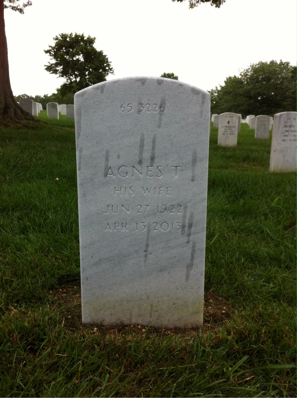 Back of headstone — Agnes Mezzatesta