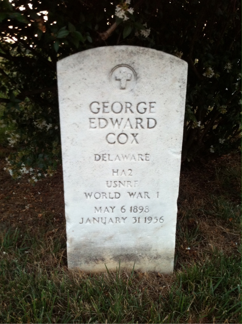 George Cox