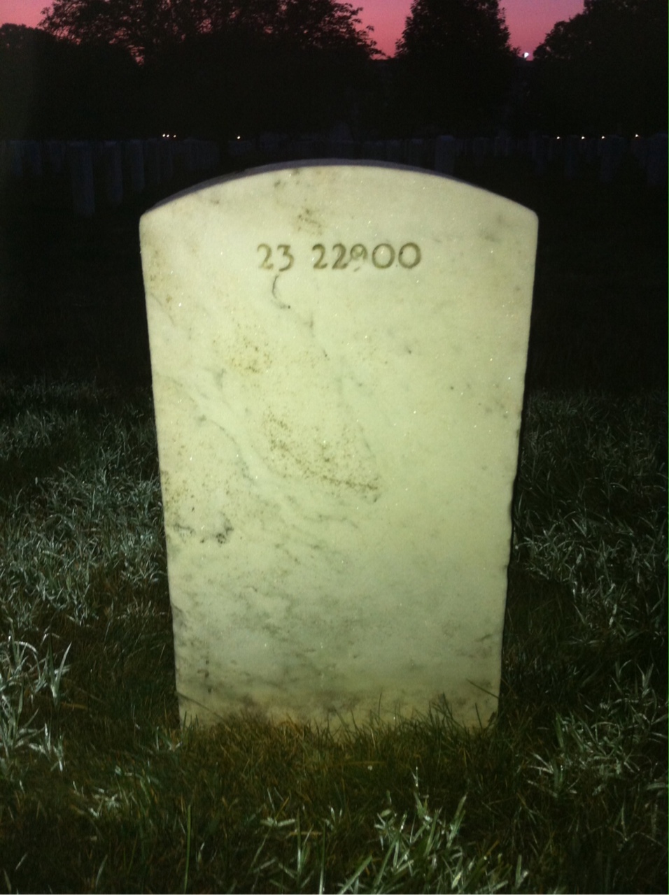 Back of headstone — Herman Ford
