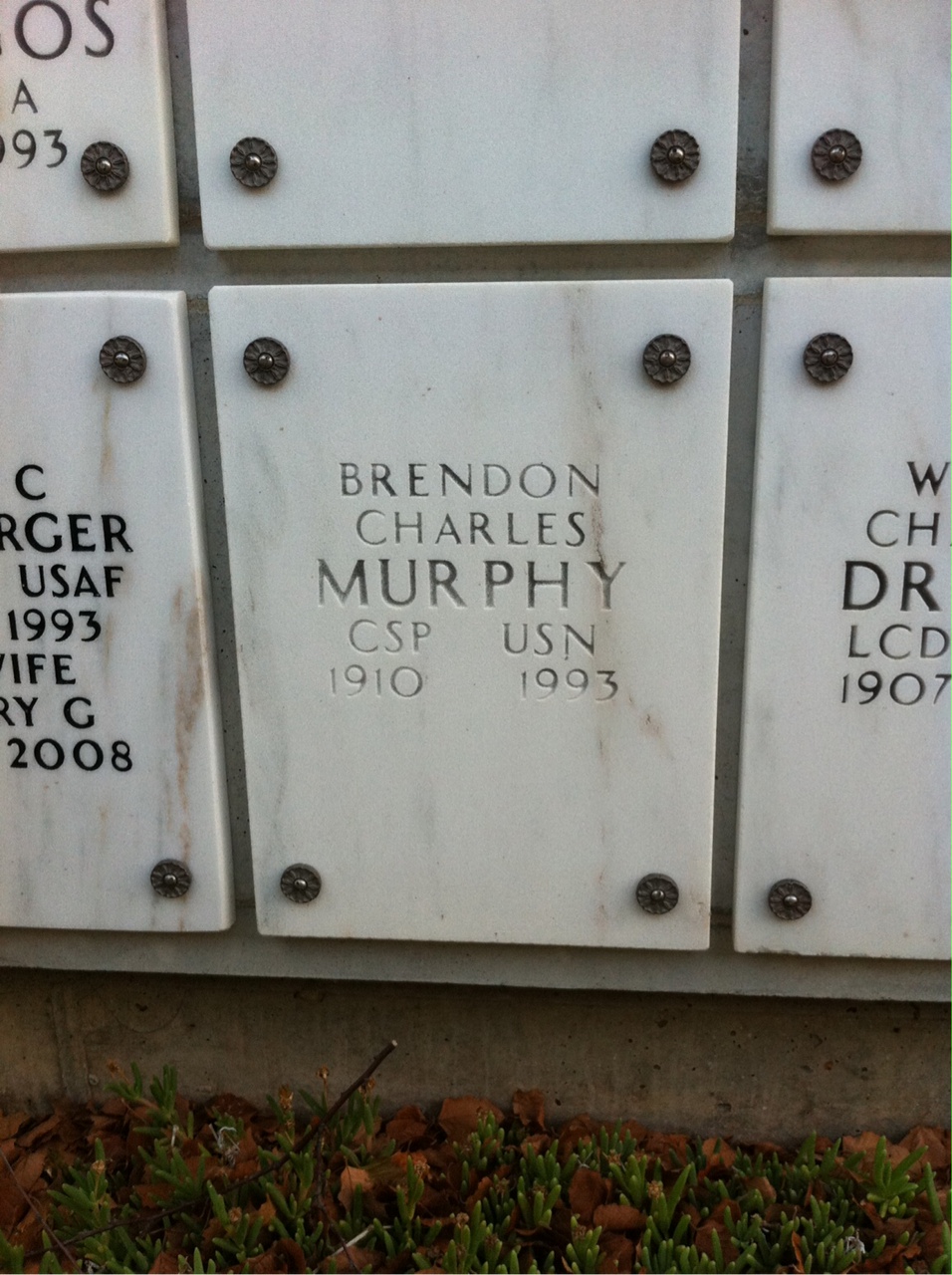 Brendon Murphy