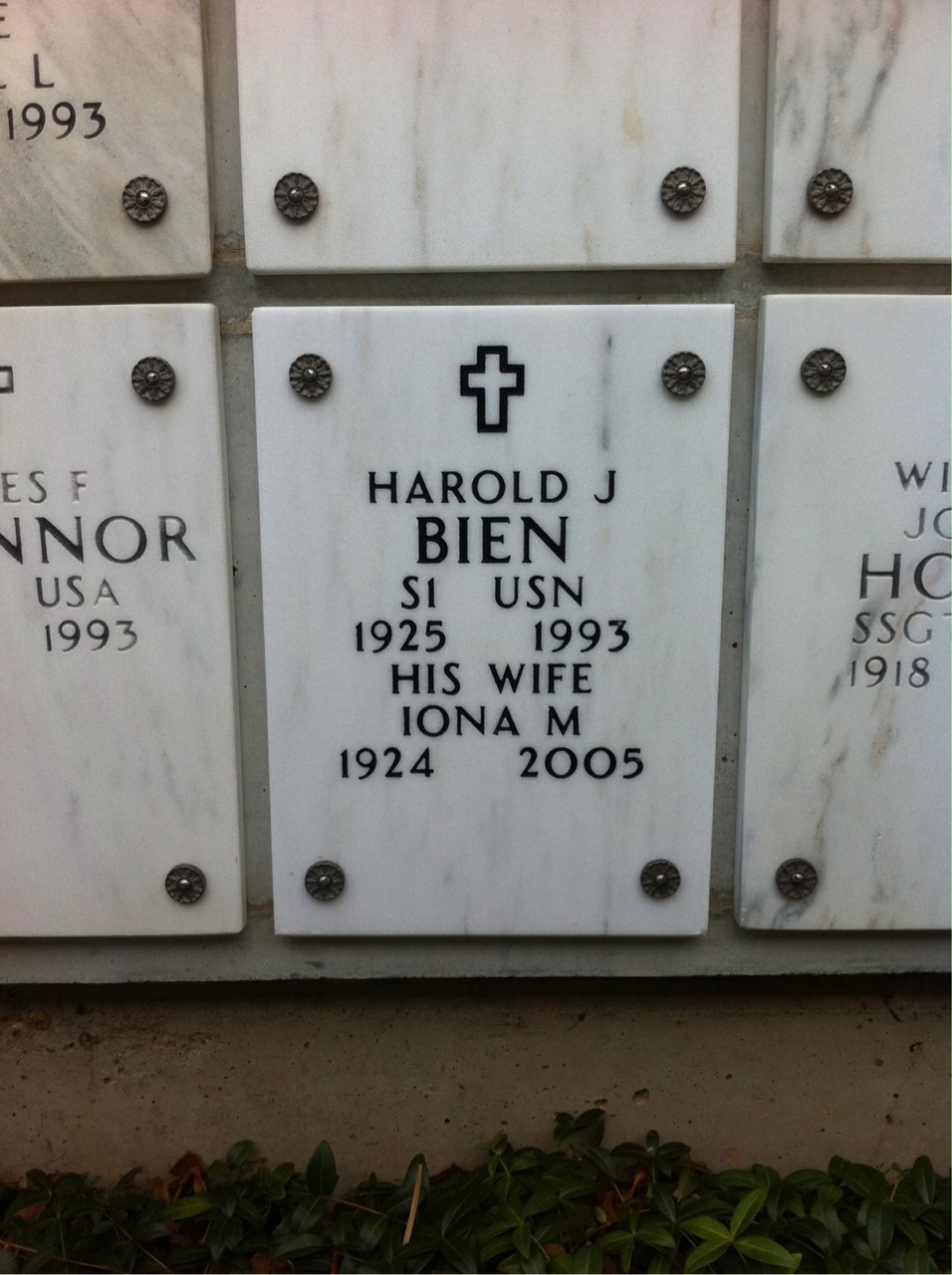 Harold Bien