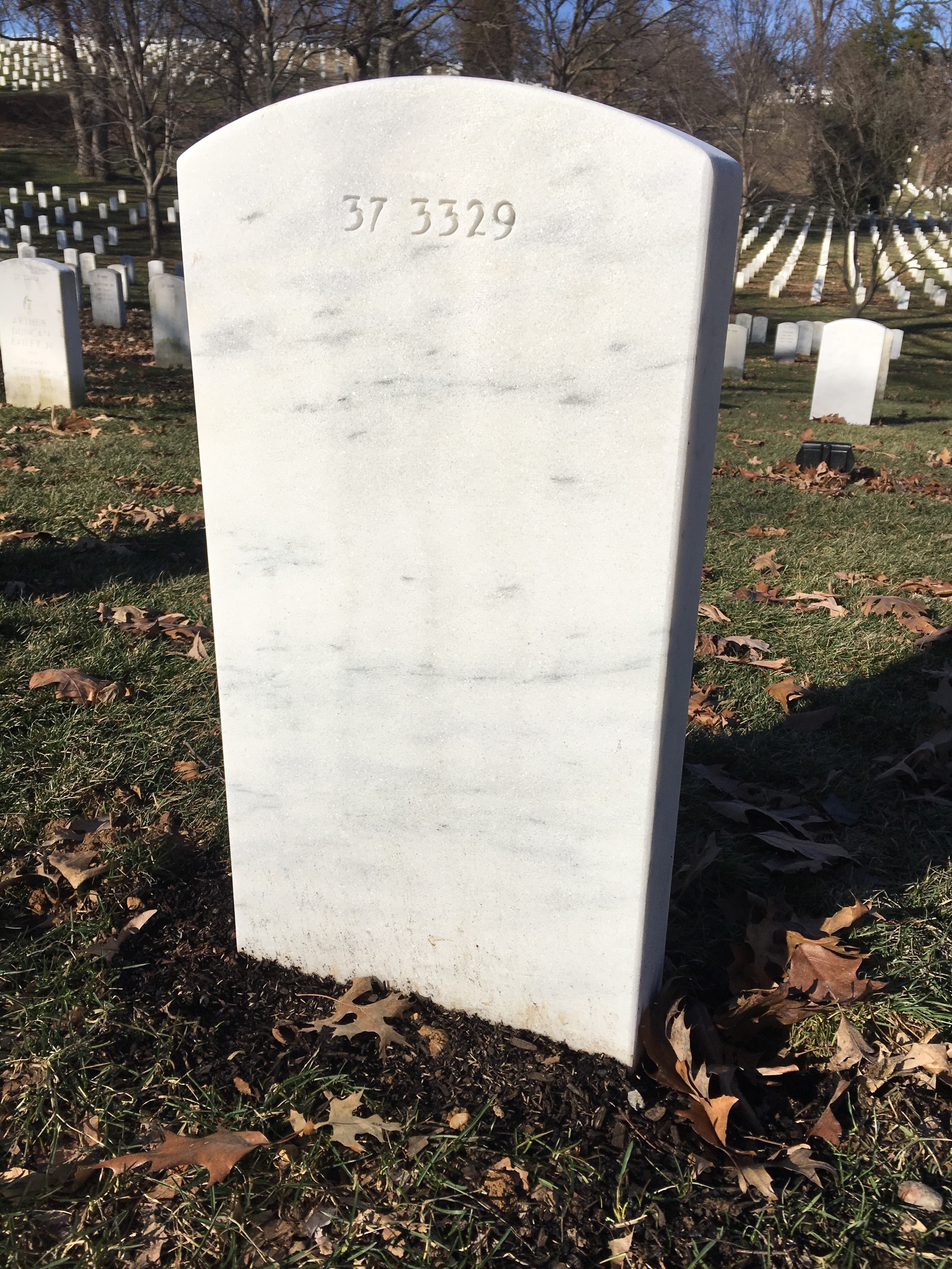 Back of headstone — Charles D Davis