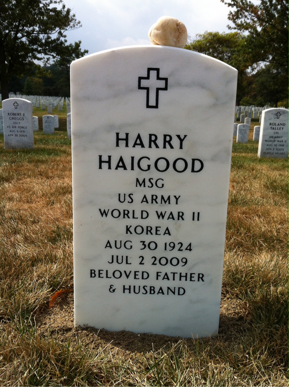 Harry Haigood