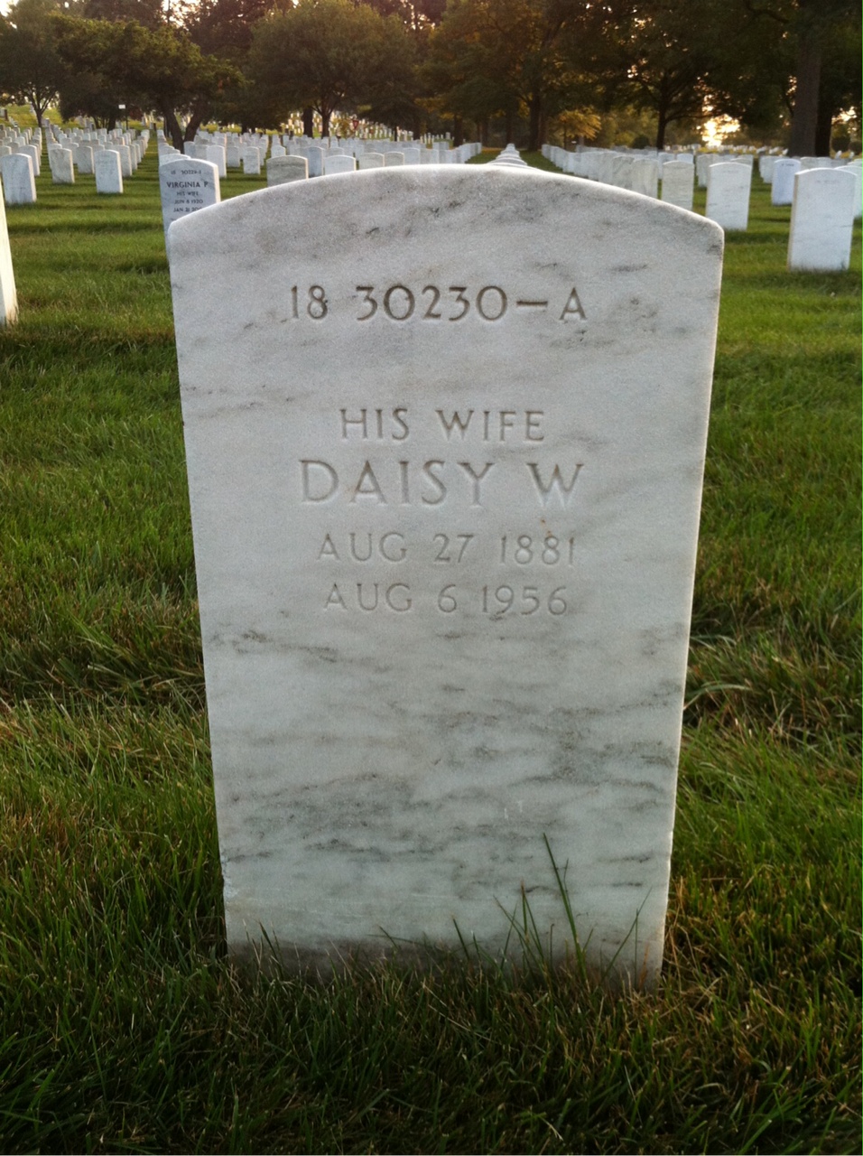 Back of headstone — Daisy Botta