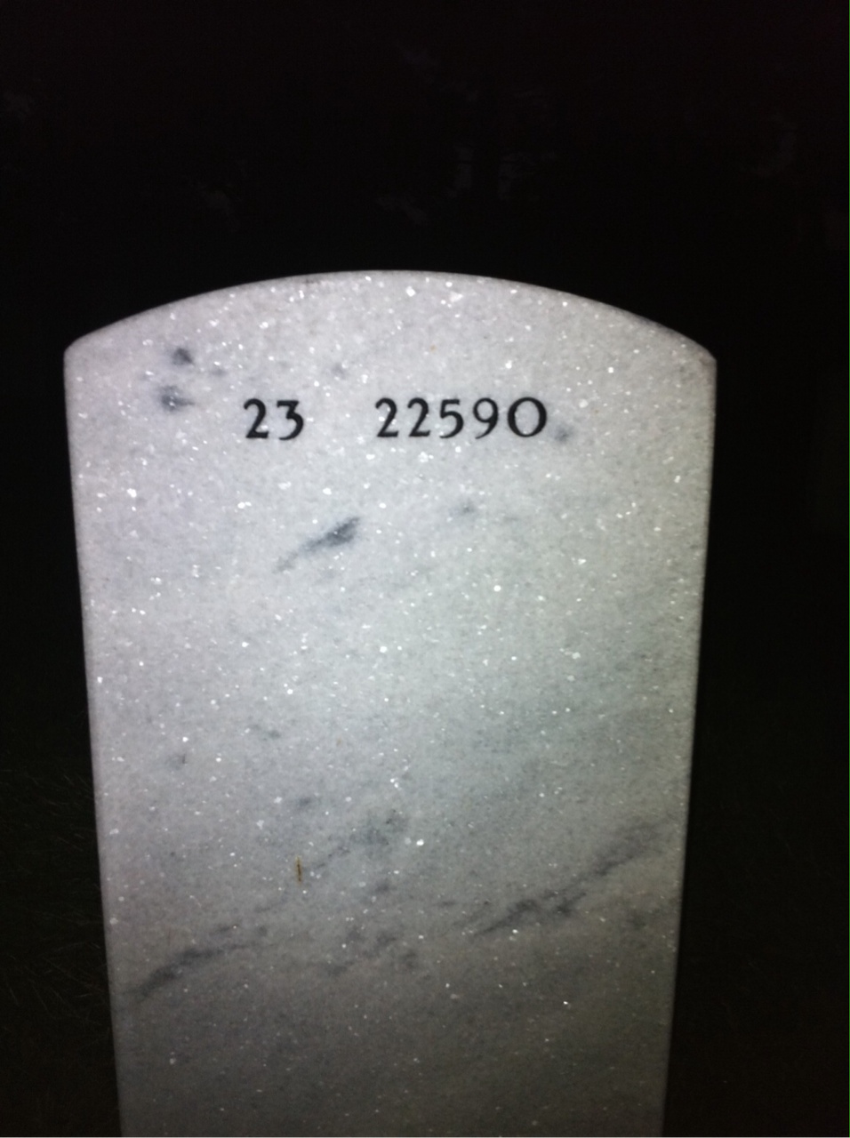 Back of headstone — Augustine Proctor