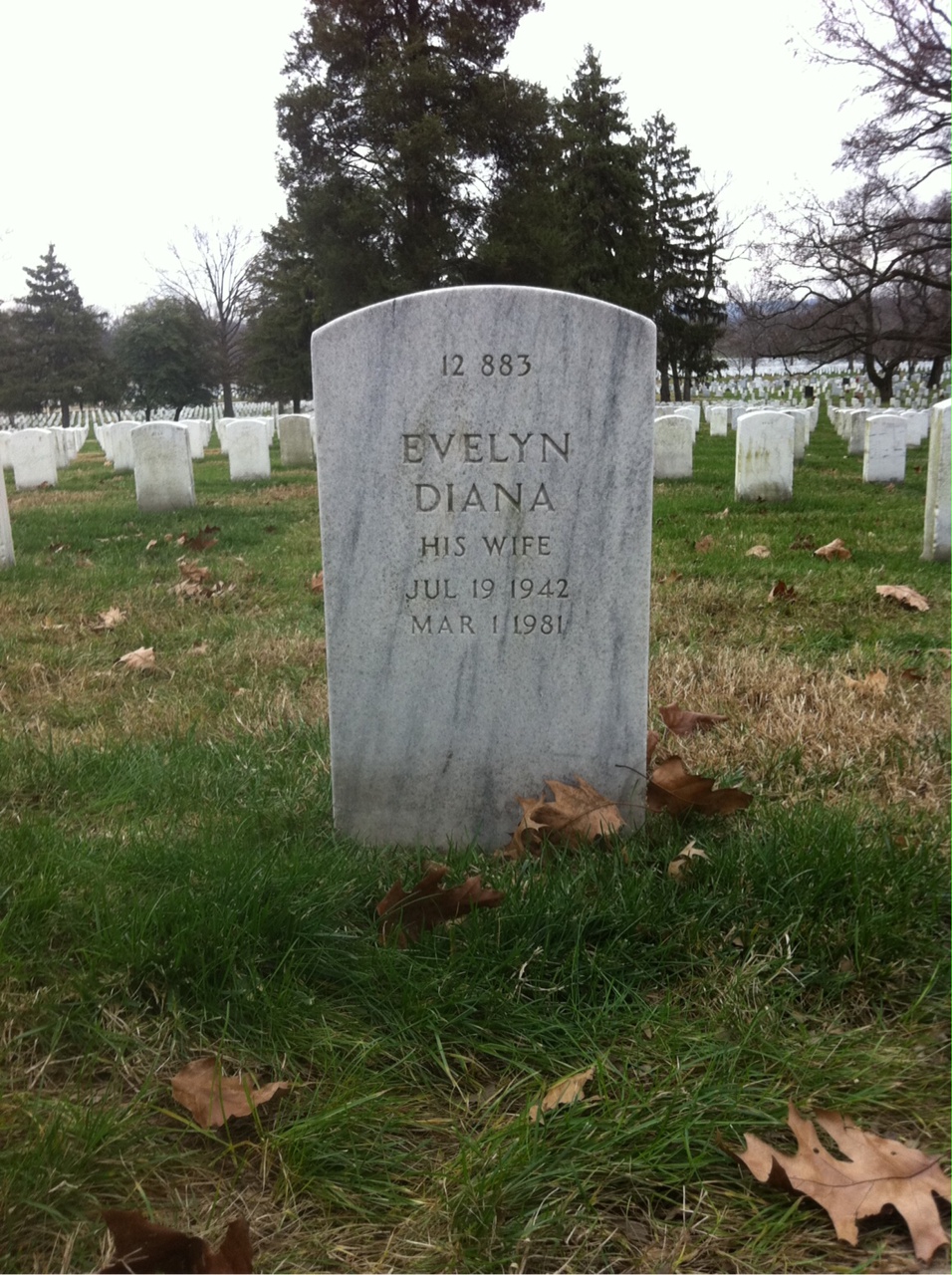 Back of headstone — William Von Harris