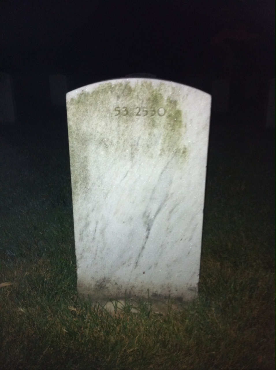 Back of headstone — Liana Bailey