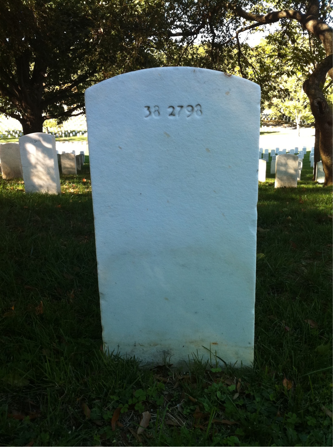 Back of headstone — Dorothy Alston