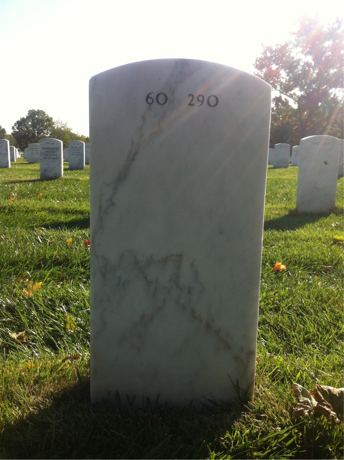 Back of headstone — Dominick Manfredi
