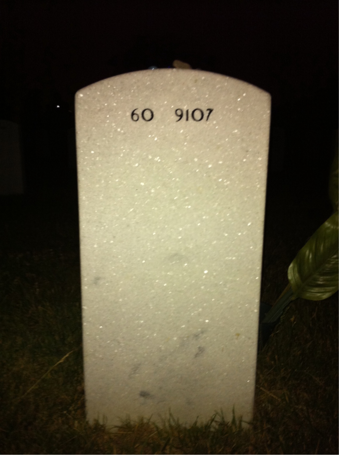 Back of headstone — Thomas Nelson