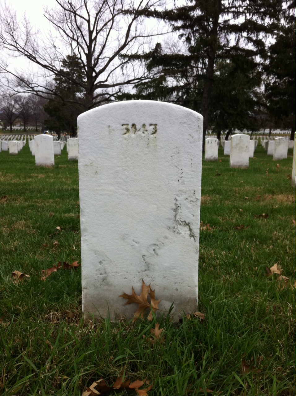 Back of headstone — David Moore