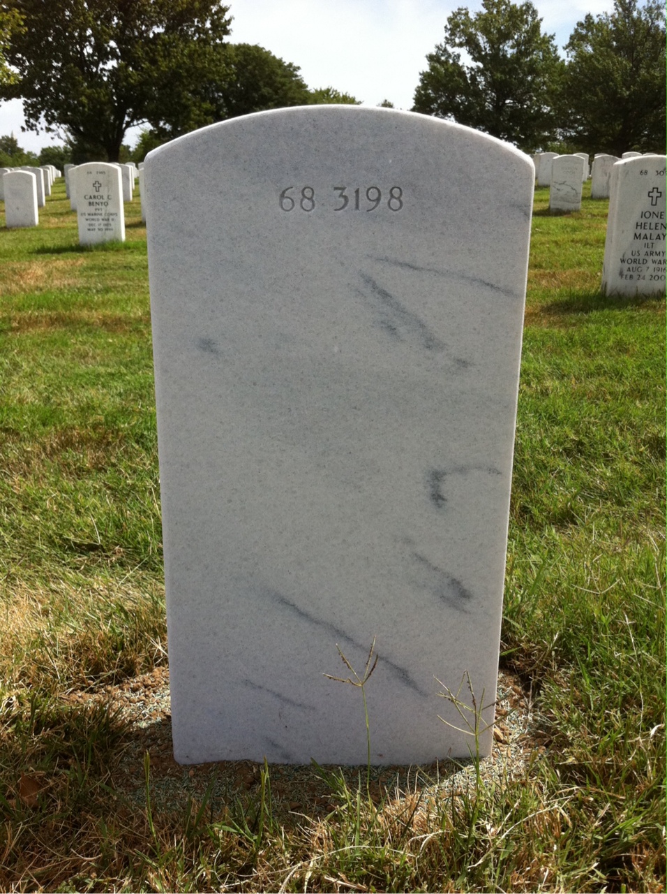 Back of headstone — Delaney Mongold