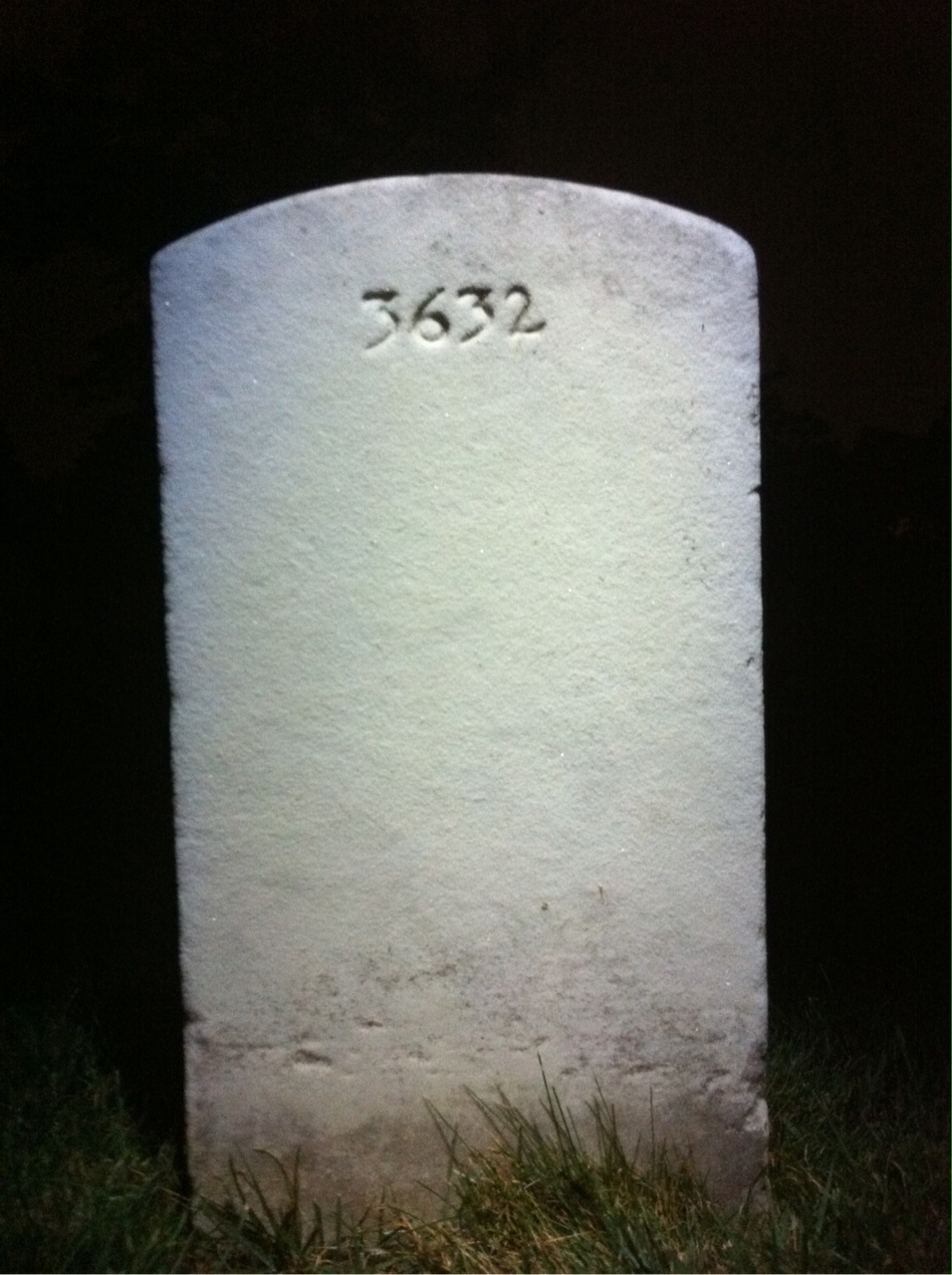 Back of headstone — Le Roy Ayers