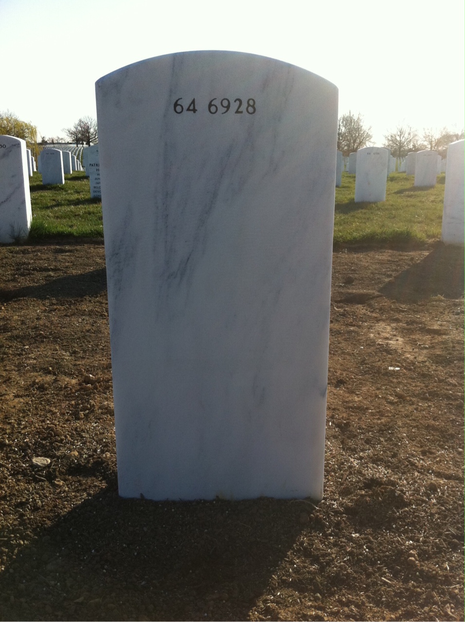 Back of headstone — Carl Breining
