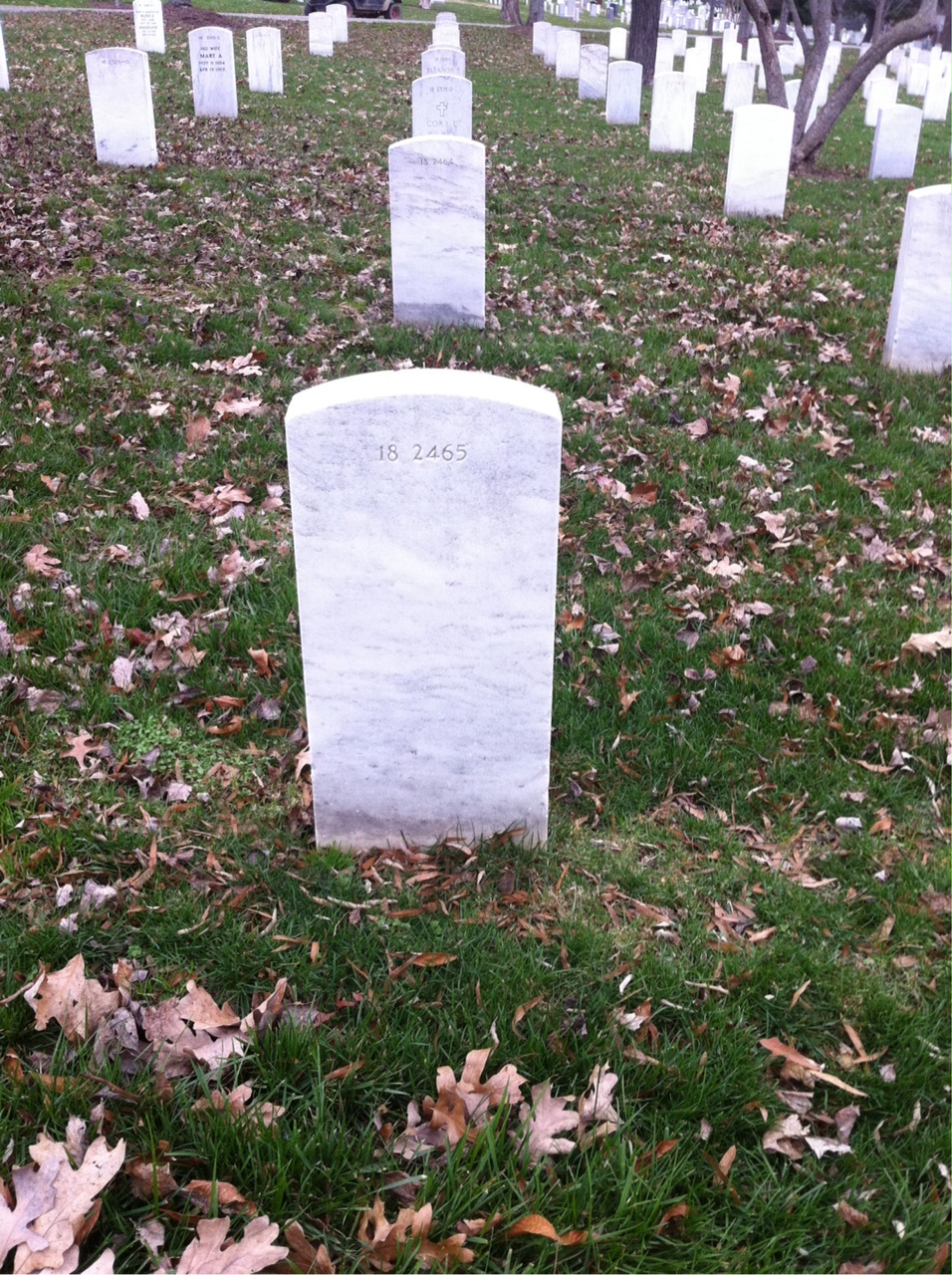 Back of headstone — Ewell Murray