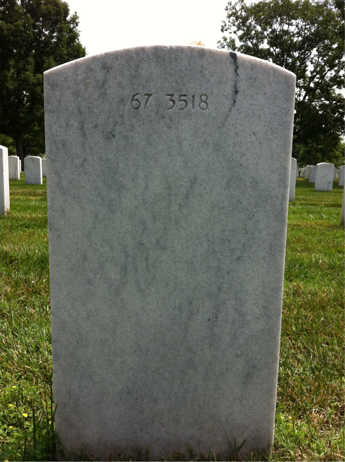 Back of headstone — Reuben Monson