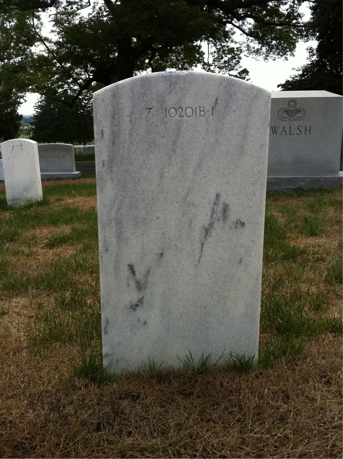 Back of headstone — James Adamson