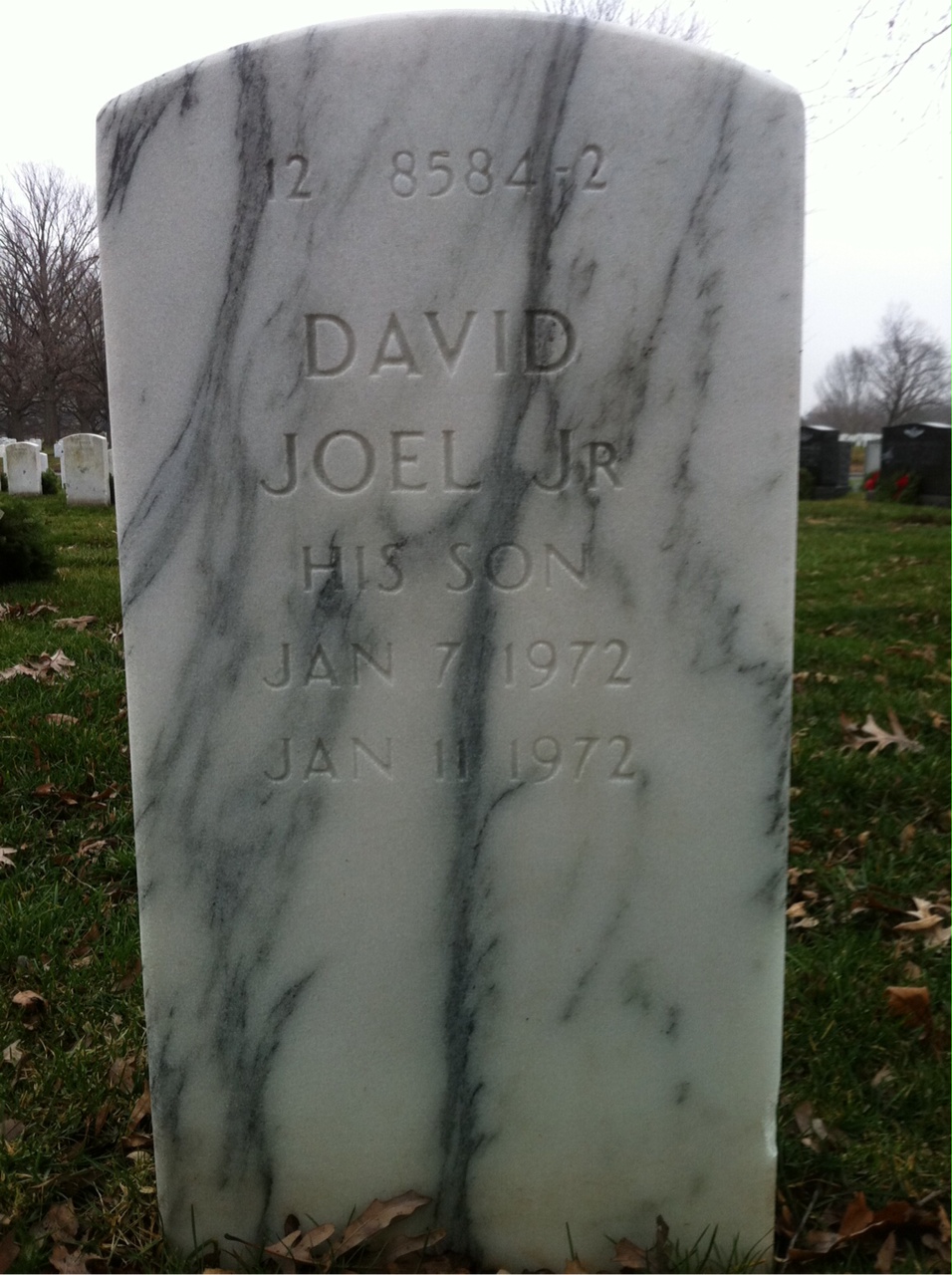 Back of headstone — David Lesinski