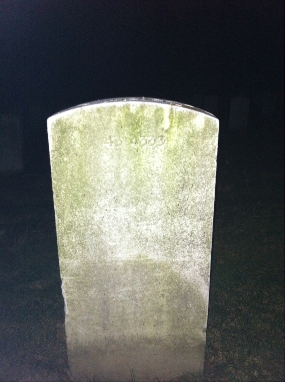 Back of headstone — Carl Berg