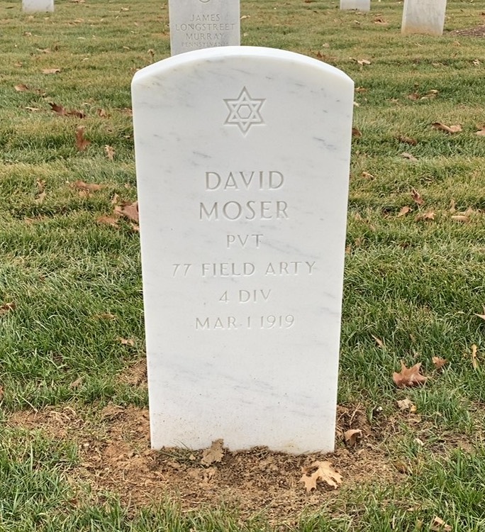David Moser