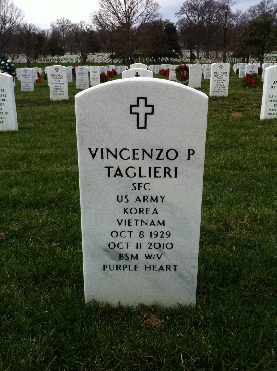 Vincenzo P Taglieri