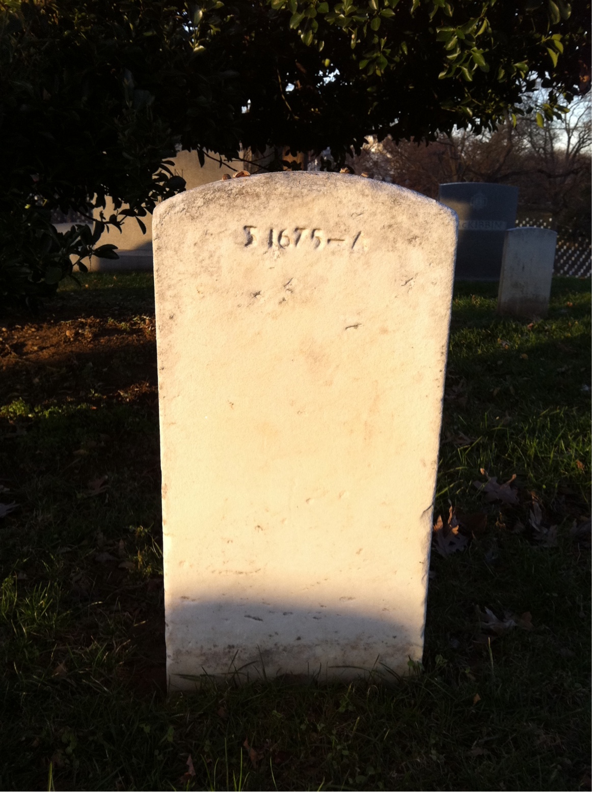 Back of headstone — William F Palmer