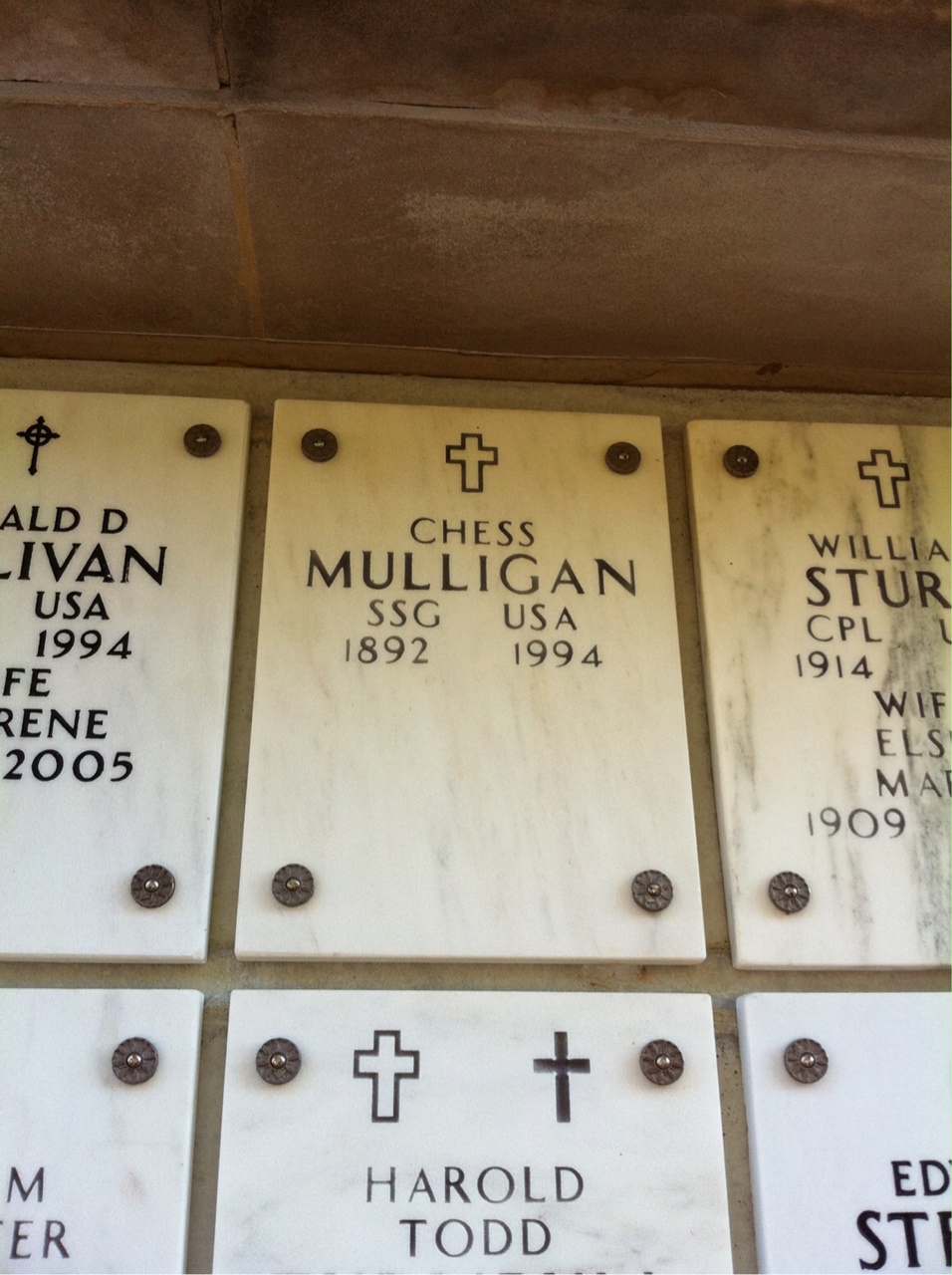Chess Mulligan