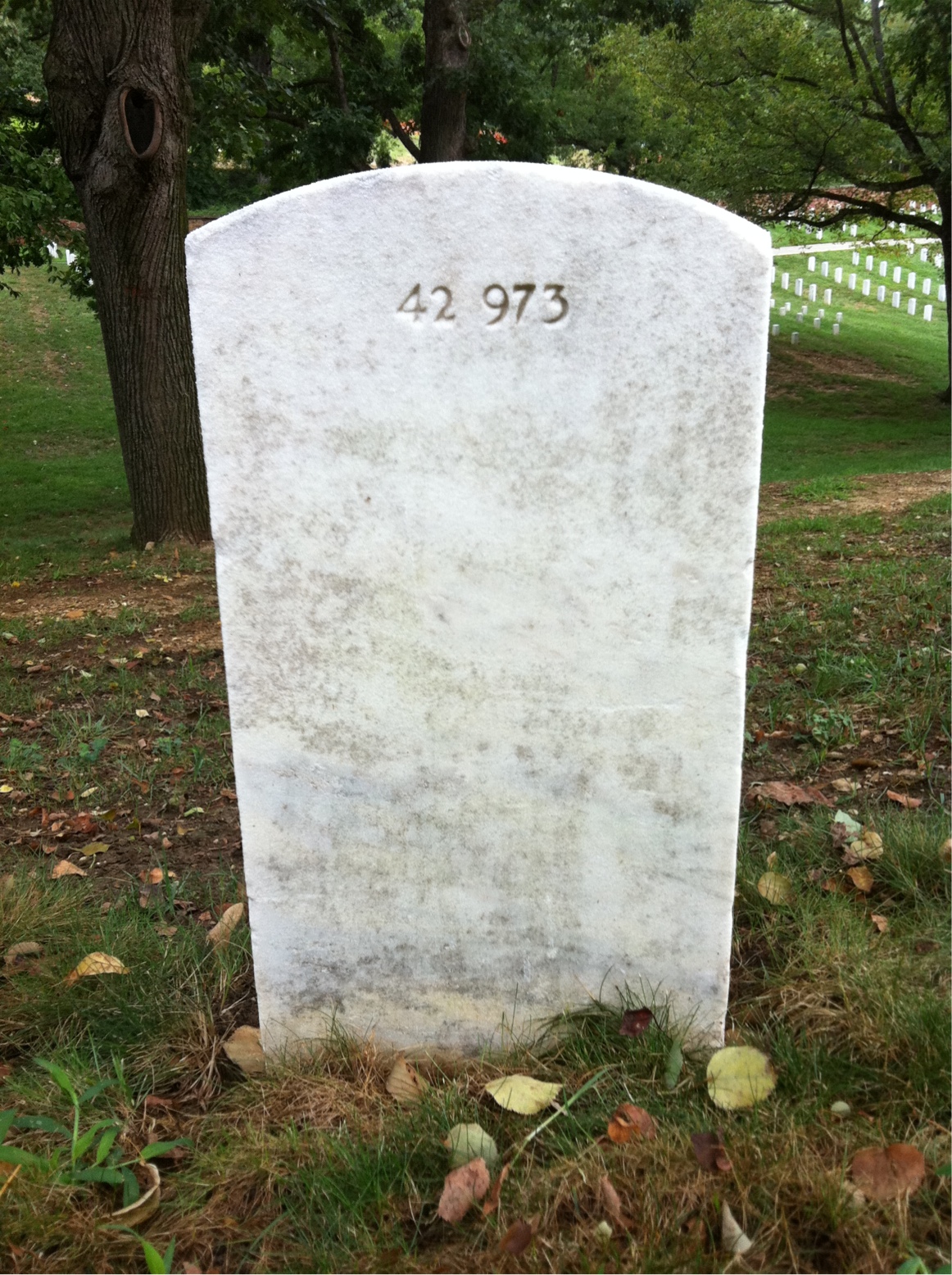 Back of headstone — William Tyler