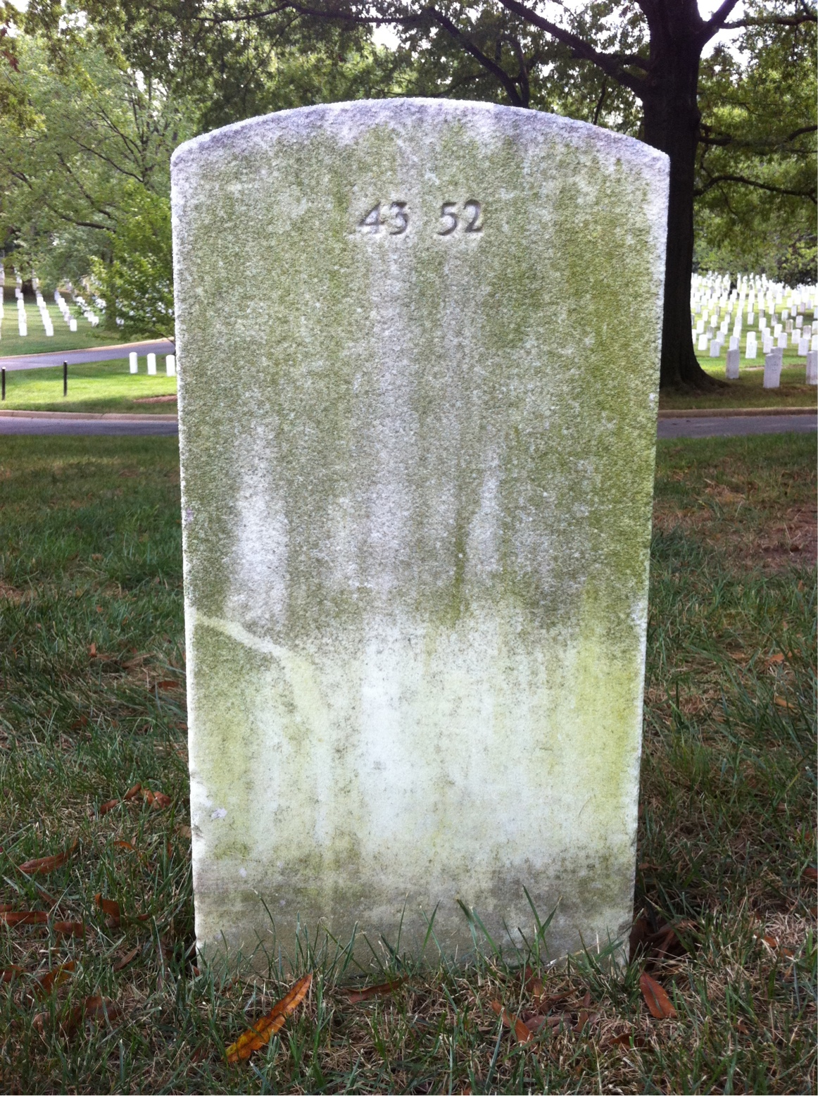 Back of headstone — Harvey Mills