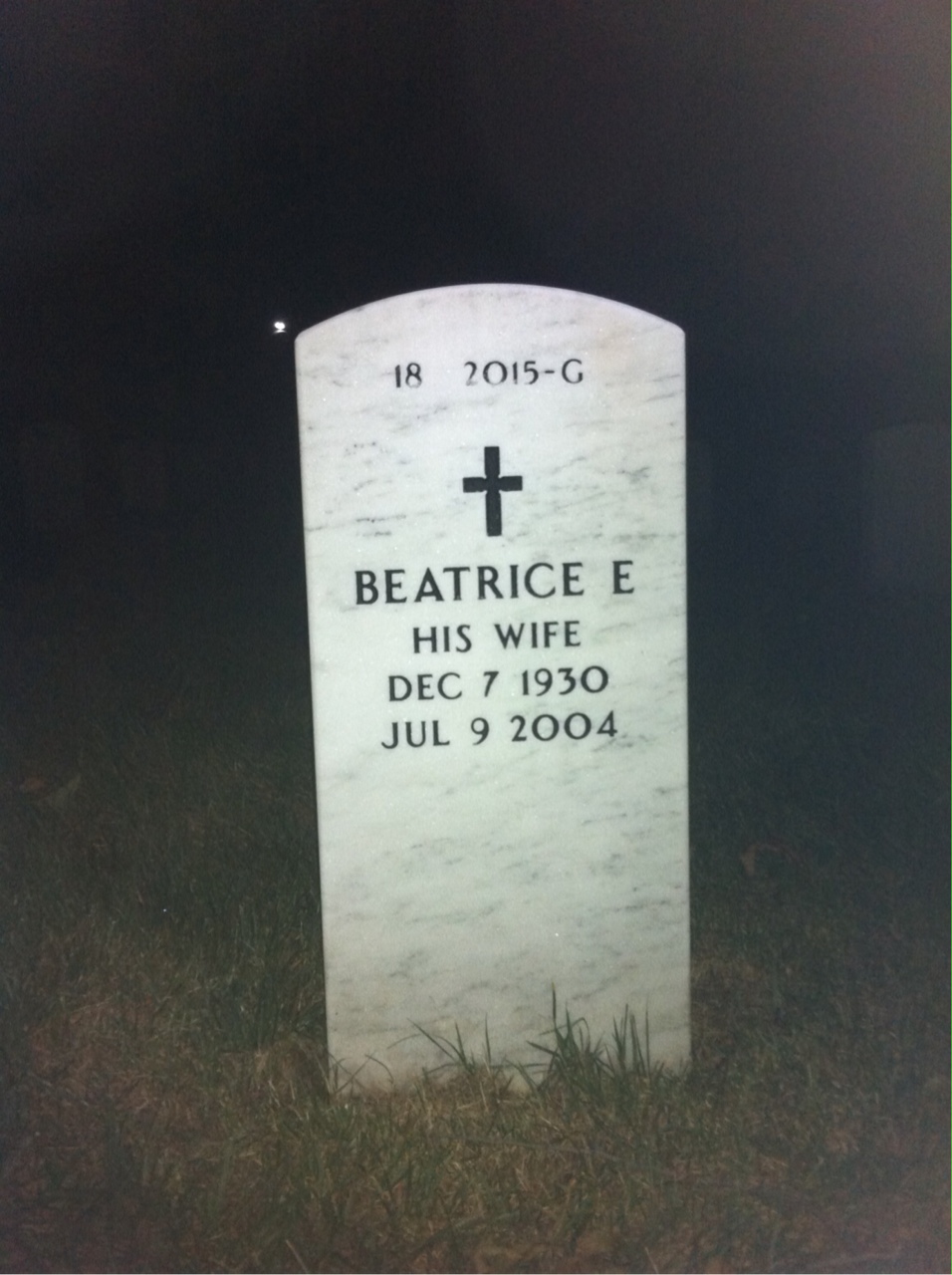 Back of headstone — William Mcginnis