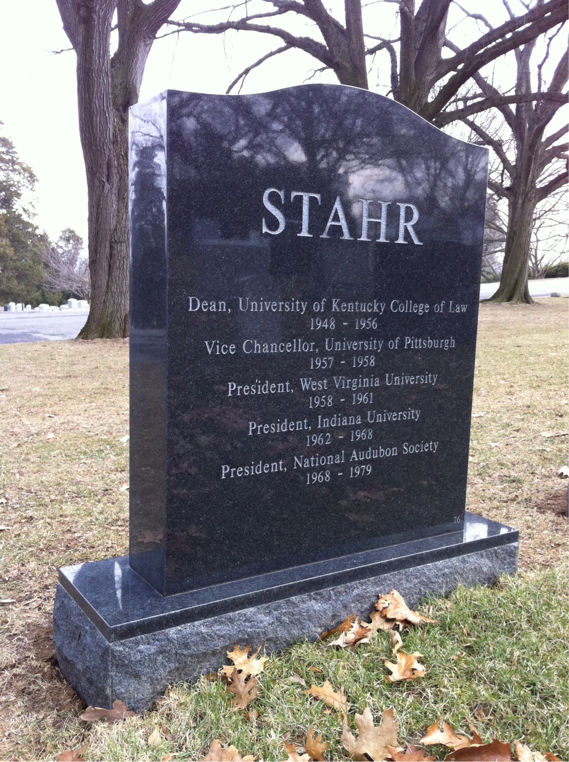Back of headstone — Elvis Stahr