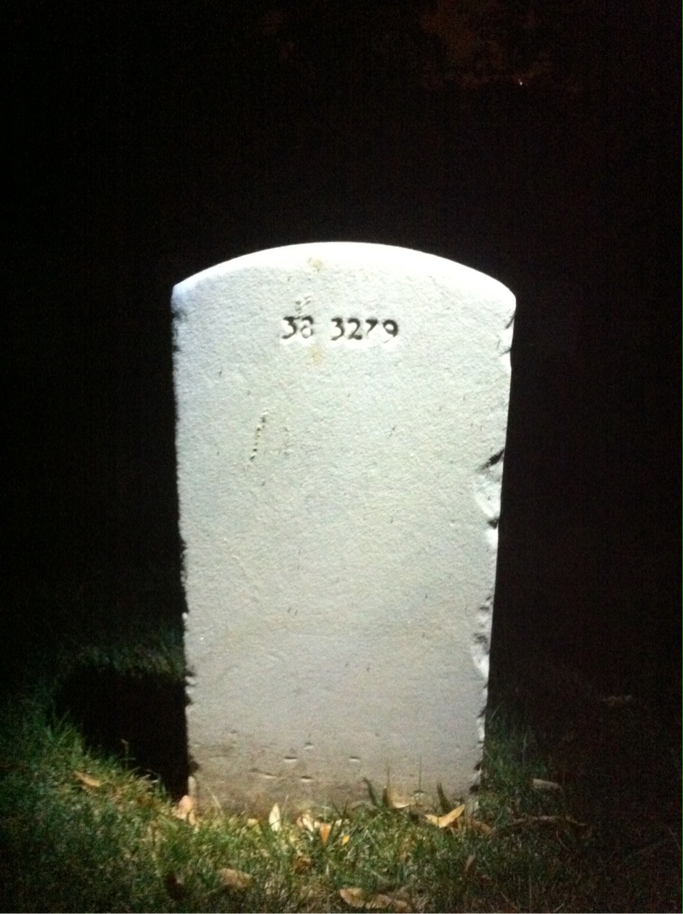 Back of headstone — Lewis Bivins