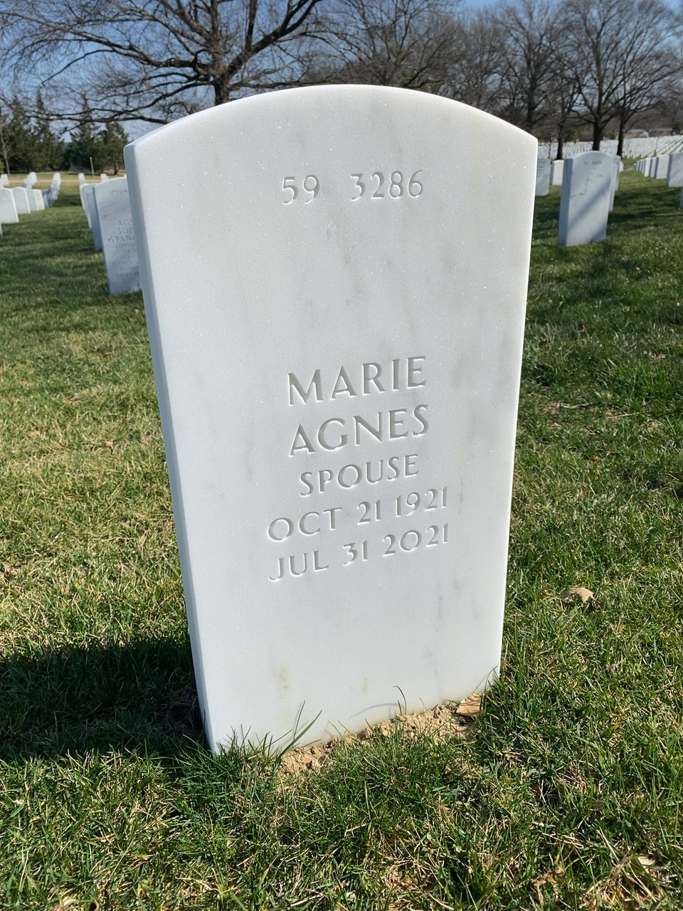 Back of headstone — Frank Stilo