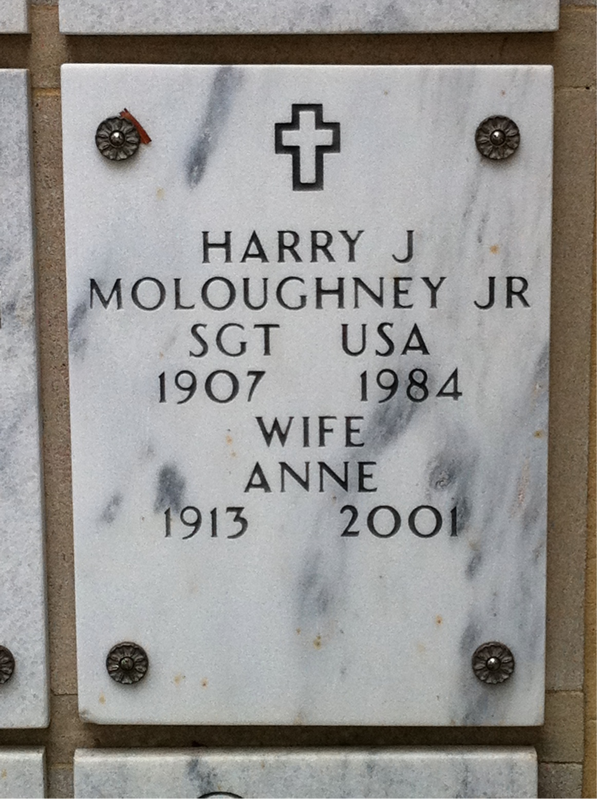 Anne Moloughney