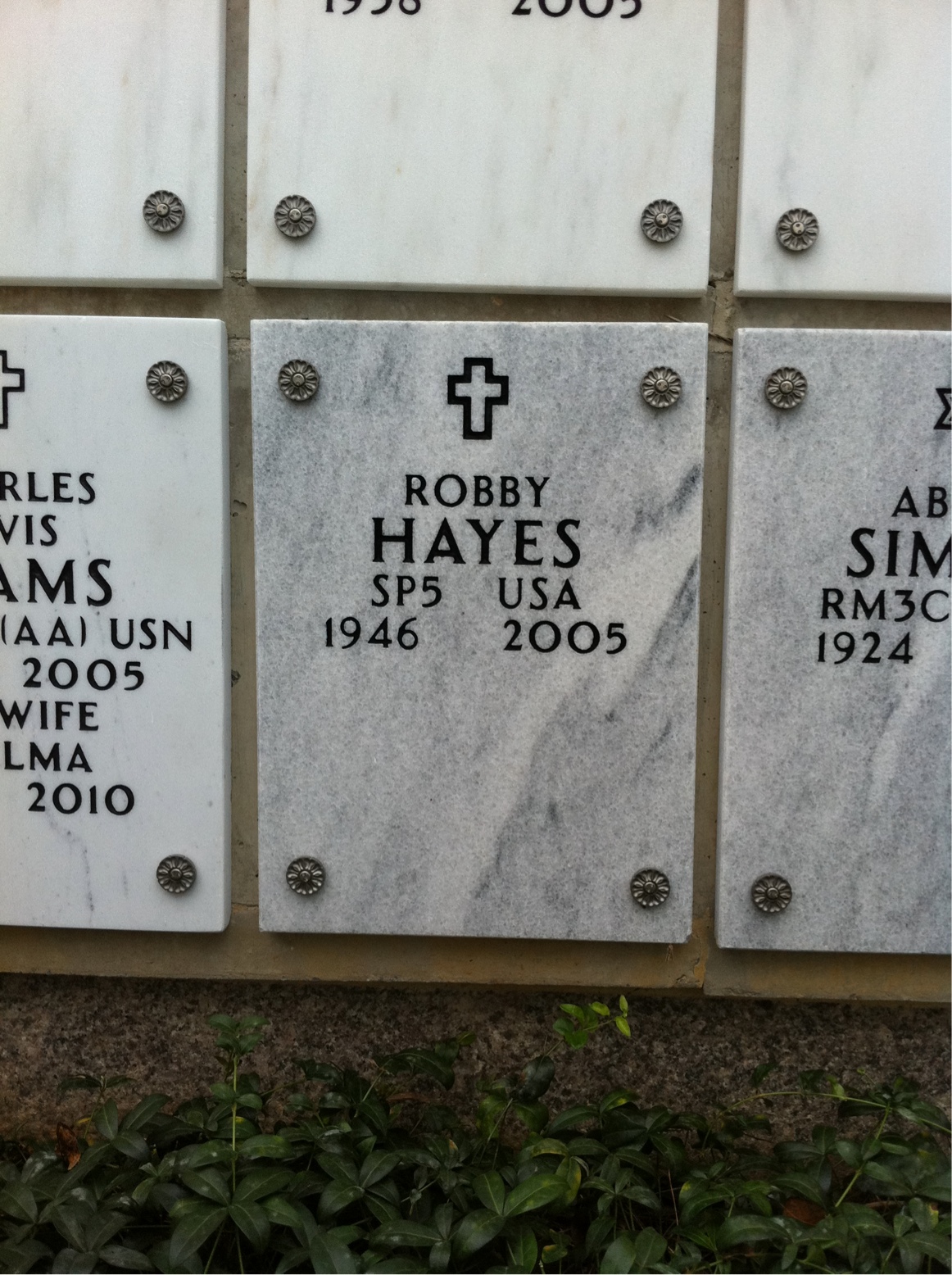 Robby Hayes