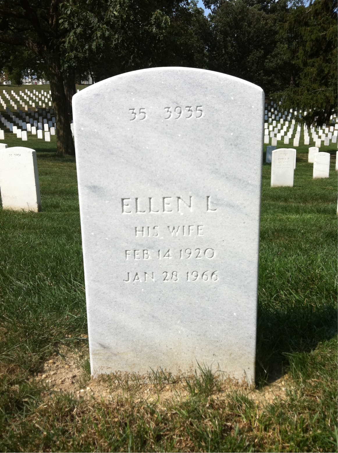 Back of headstone — William D Hawley