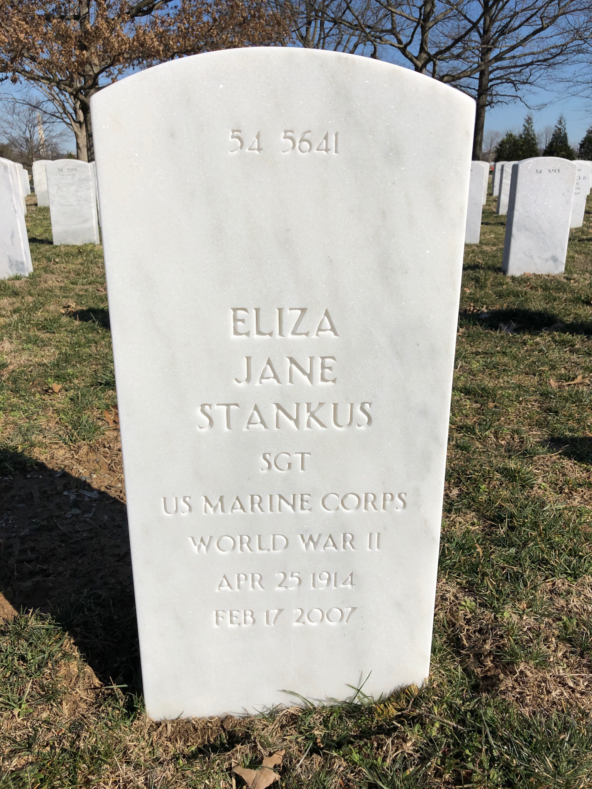 Back of headstone — Eliza Stankus