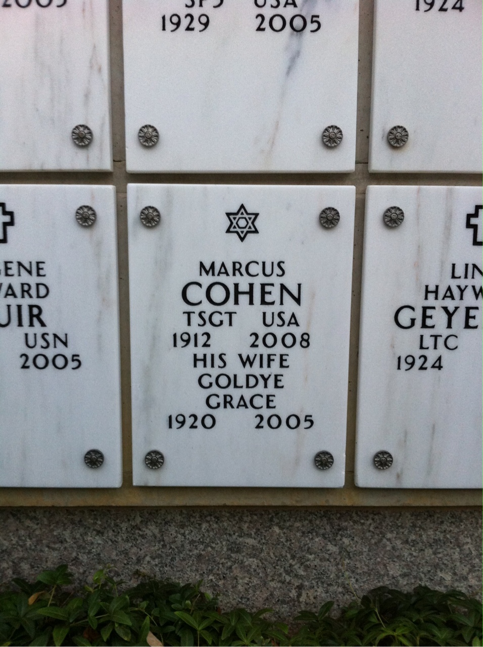 Marcus Cohen