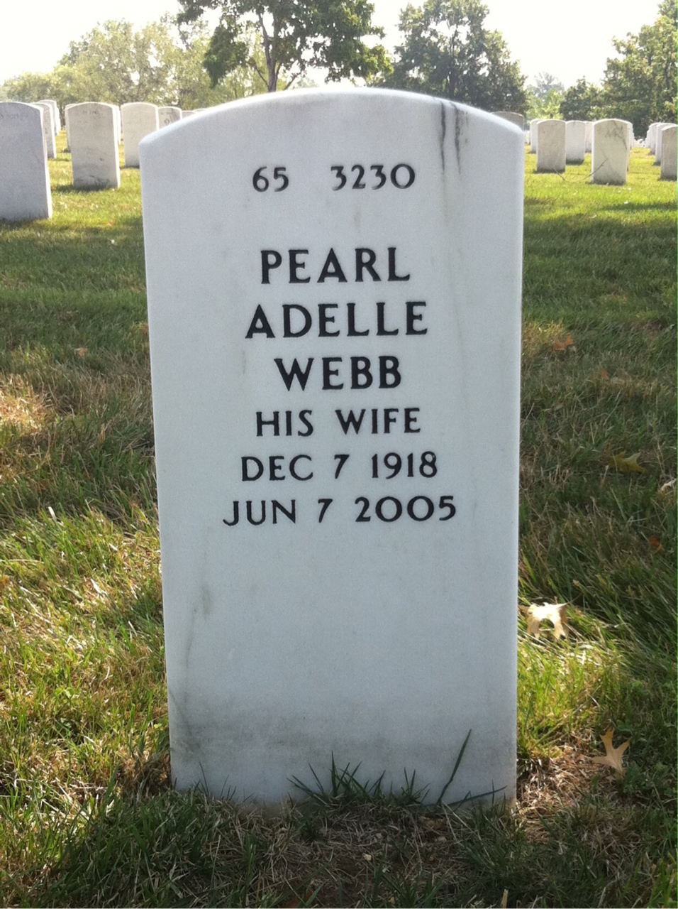 Back of headstone — Clarence Hammerle