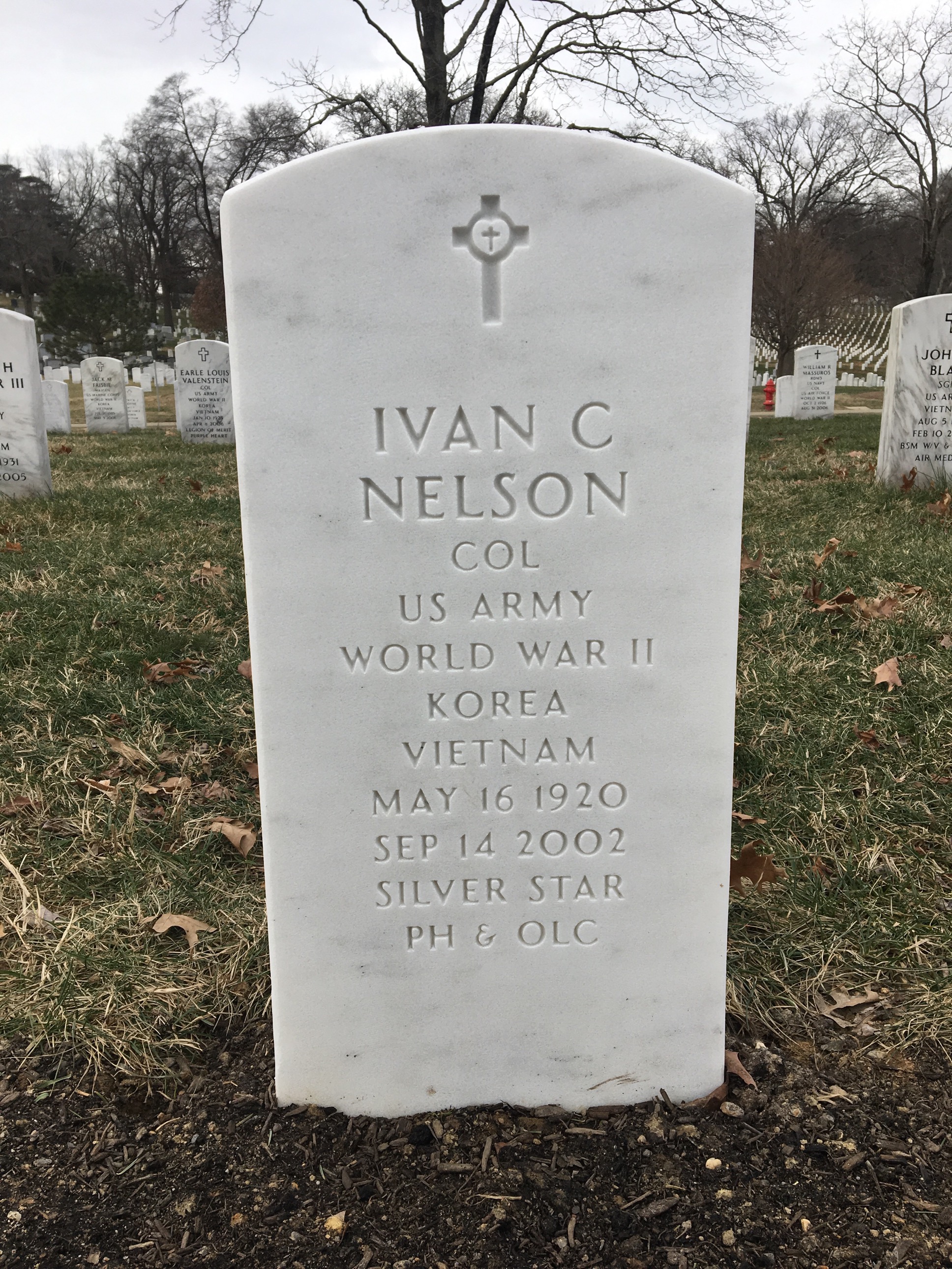 Evelyn N Nelson
