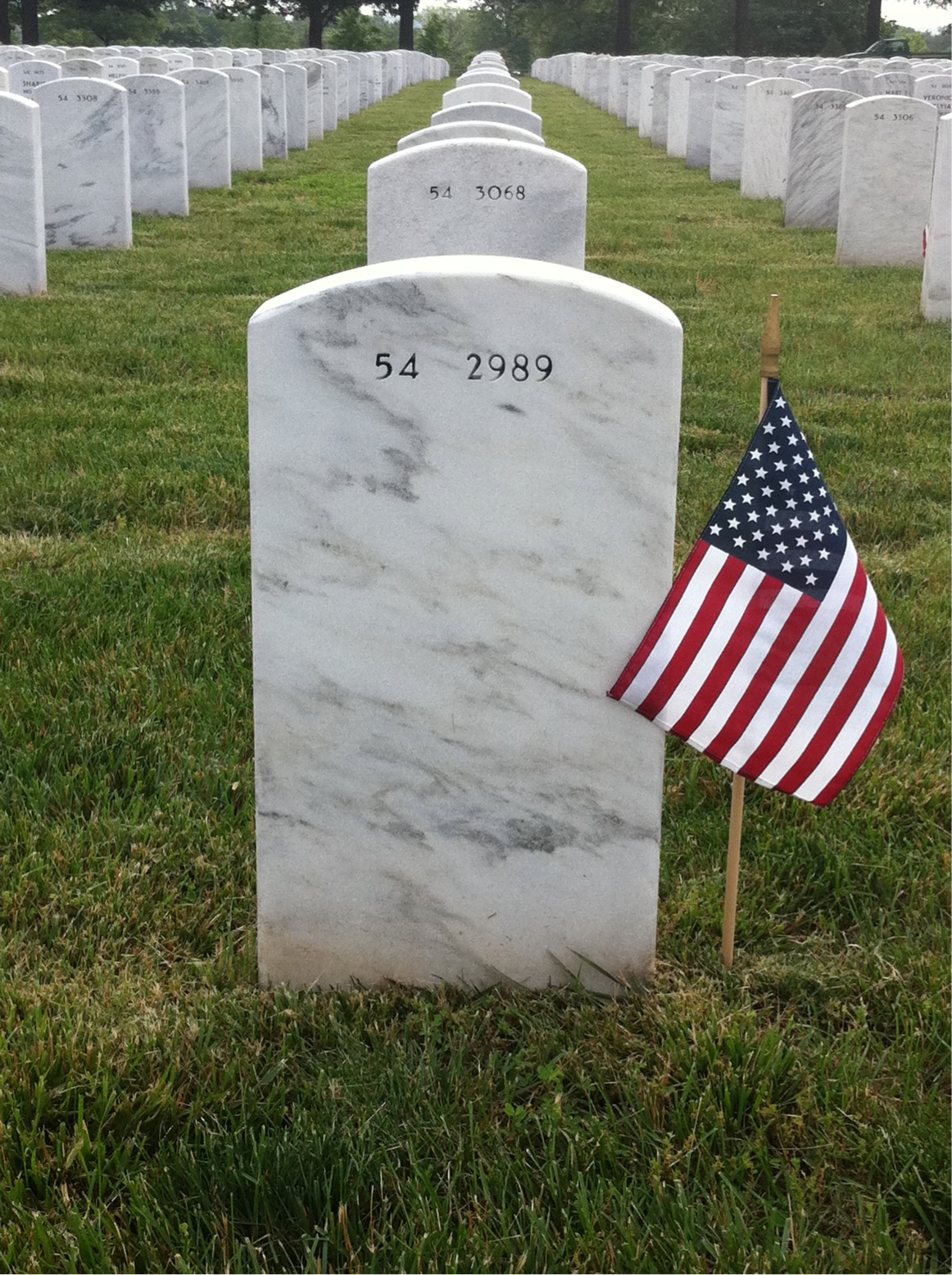 Back of headstone — Lester Greenwood