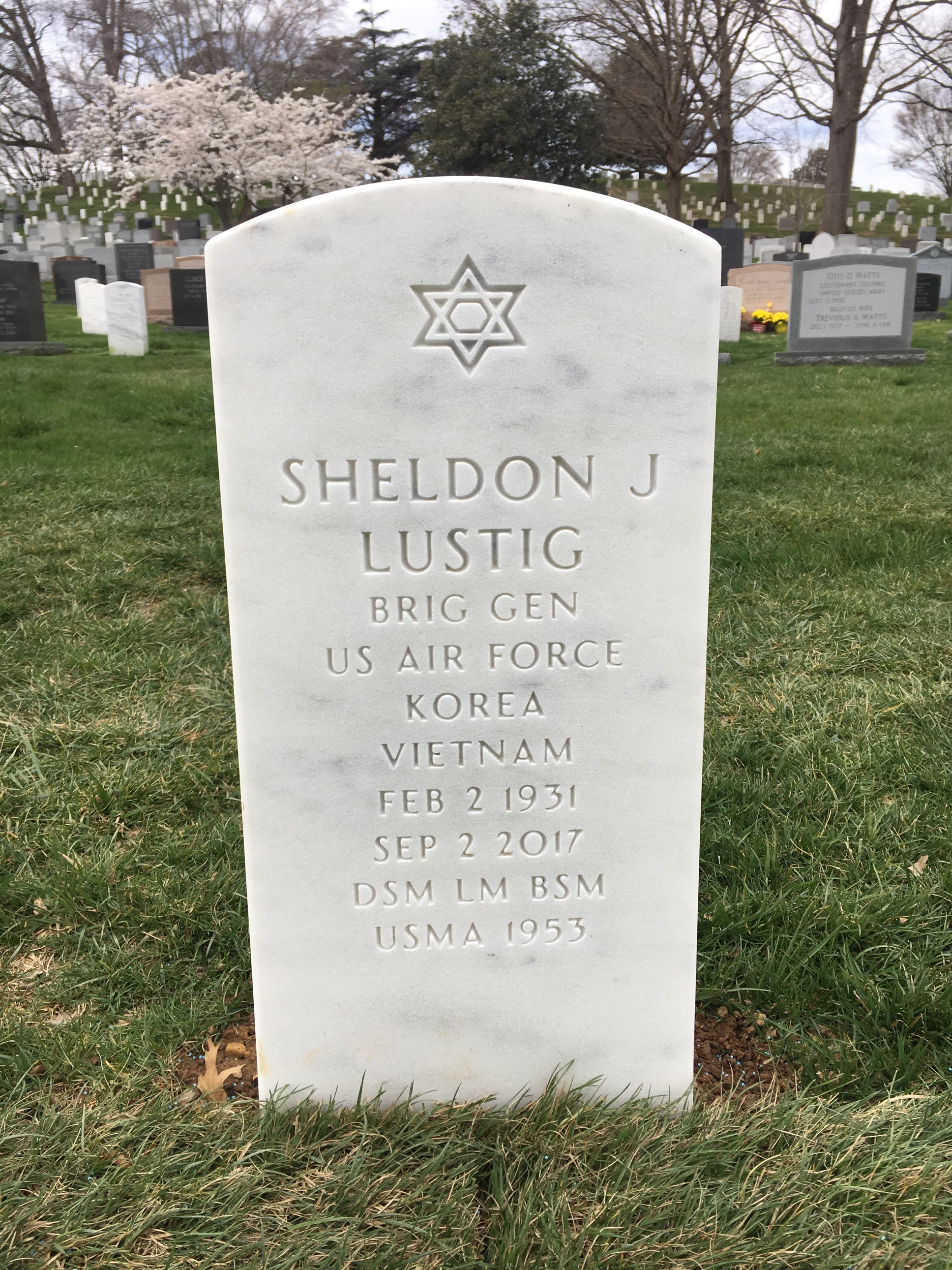 Sheldon J Lustig