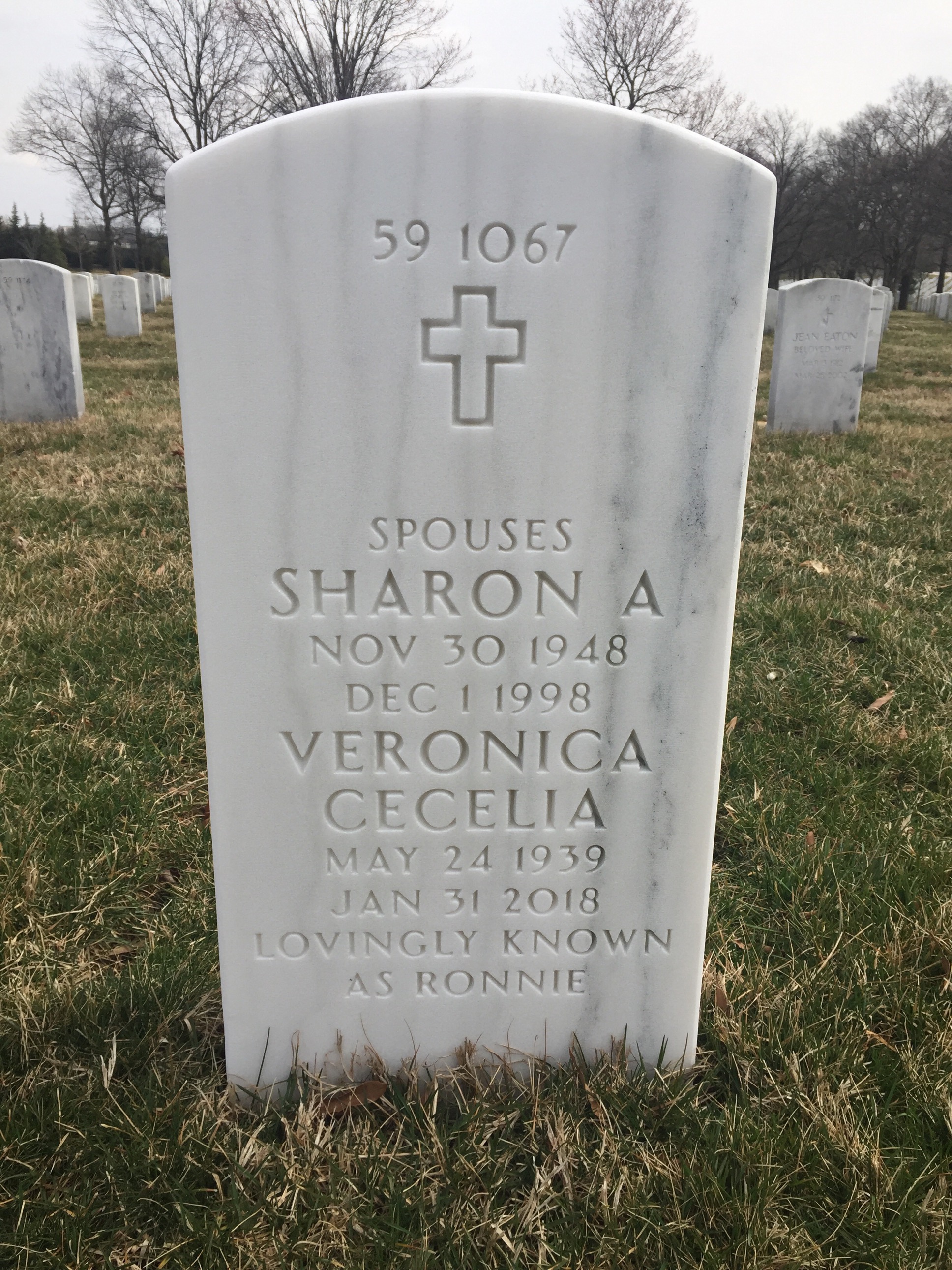 Back of headstone — Thomas Brown Lewis