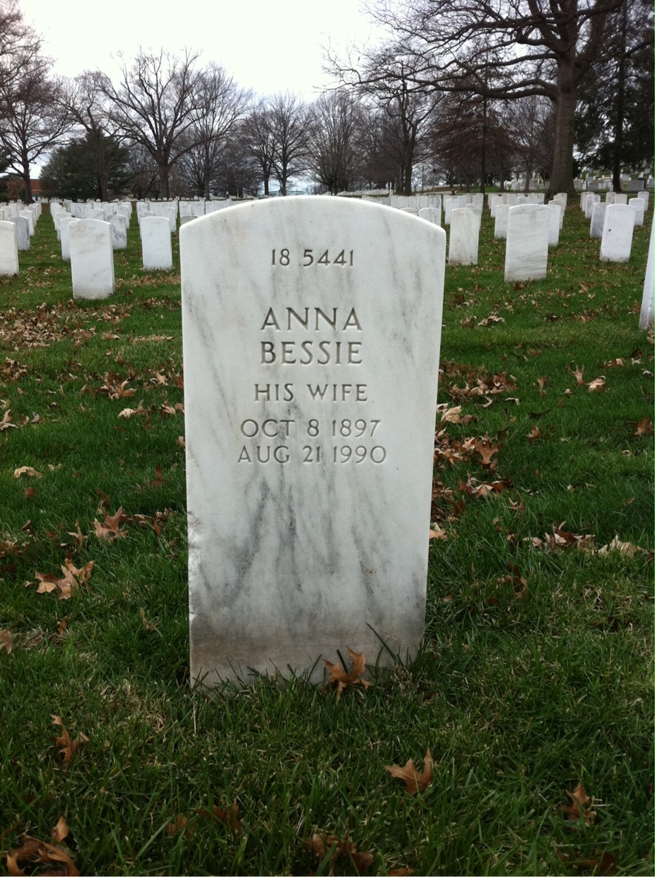 Back of headstone — Anna Bohannon