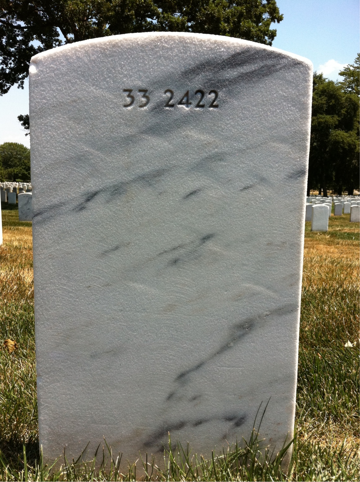 Back of headstone — Frances Altman