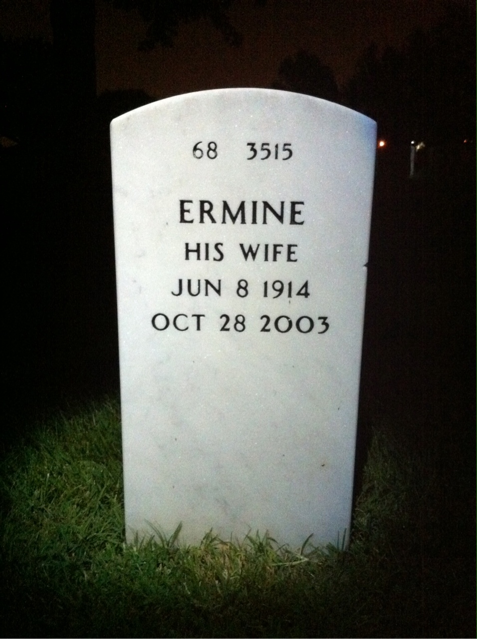 Back of headstone — Aaron Hauchman