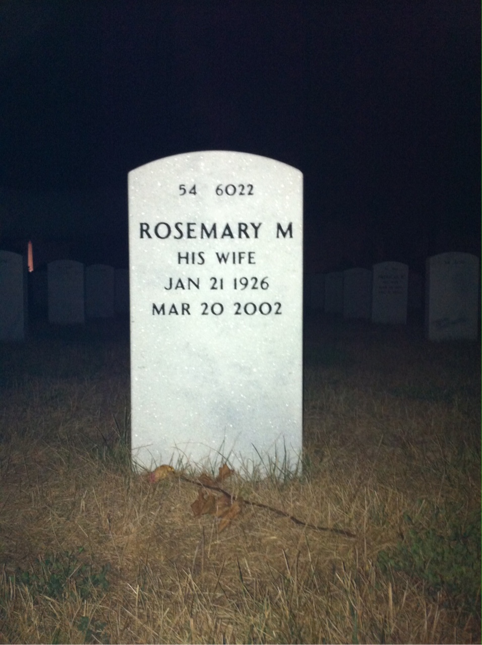 Back of headstone — Dorsey Black