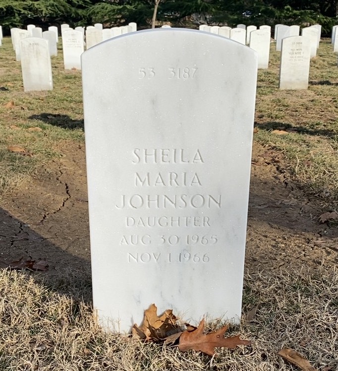 Back of headstone — Theodore Johnson